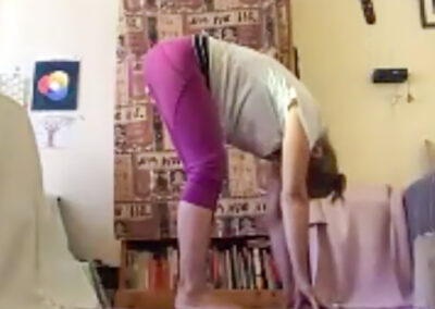 Building up the Nervous System