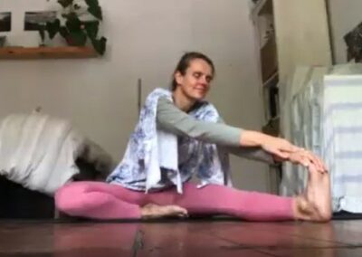 Stress set for adrenals and kidneys