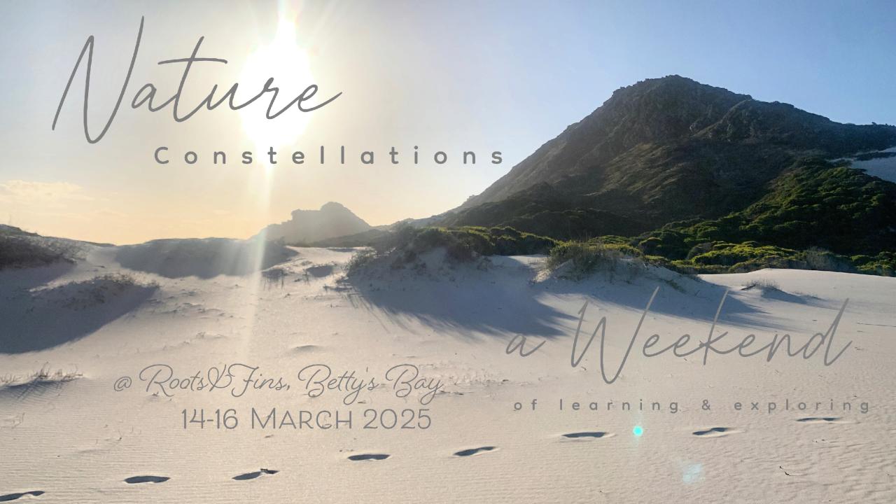 Nature Constellations Weekend 14-16 March 2025