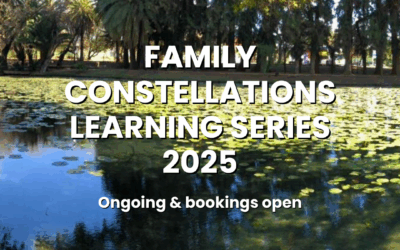 Family Constellations Learning Series 2025 – Ongoing & bookings open
