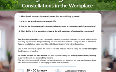 Constellations workshop 2026