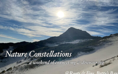Nature Constellation 13 – 15 March 2026