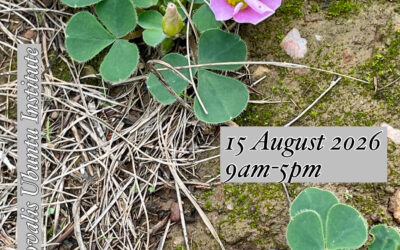 Family Constellations – Parenting – 15 August 2026